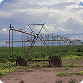McNeal Farm 506